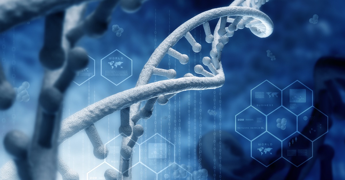 Molecular structure of the PPARG gene.